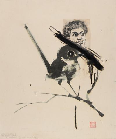 <p><em>Portrait of Semely; the Fijian Wren</em></p>
