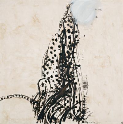 <p><em>Cheetah or Cheatah </em></p>