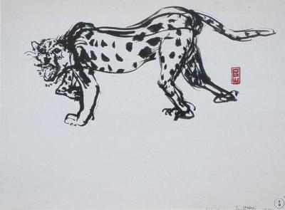 <p><em>Cheetah </em></p>