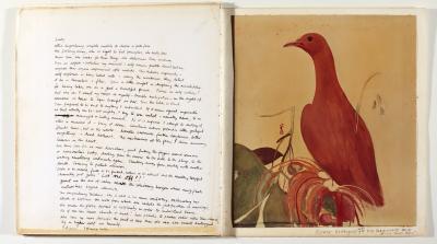 <p><em>Orange Fruit Dove, Fiji</em></p><p>(photograph of painting in artist's 'Orange Velvet' notebook)</p>