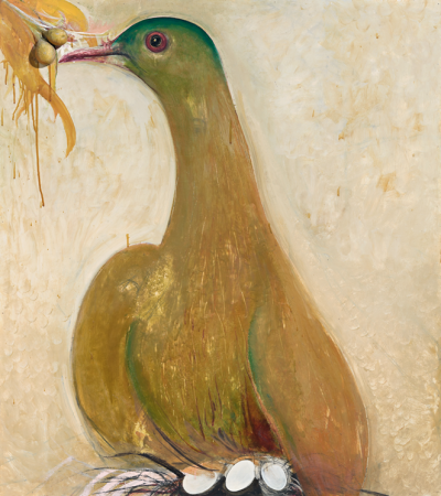 <p><em>Orange Fruit Dove, Fiji</em></p>