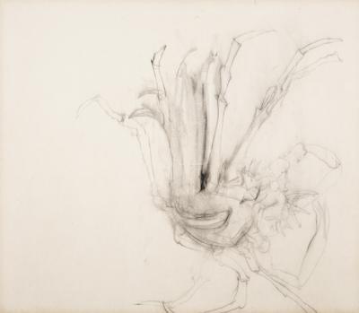 <p><em>Crab </em></p>