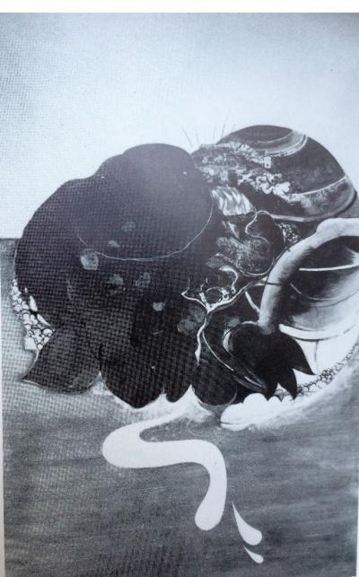 <p><em>From the Air, </em>Deya, Majorca</p>