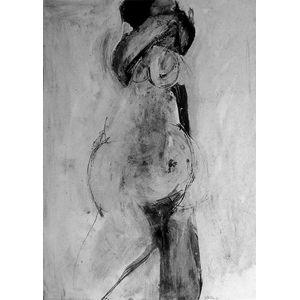 <p><em>Figure (No. 17</em>)</p>