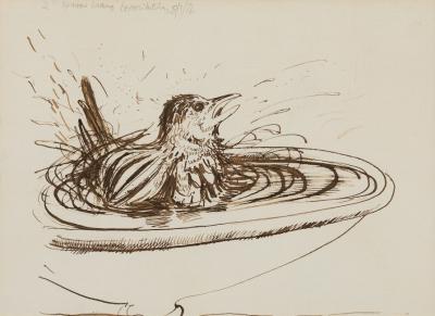 <p><em>Sparrow Bathing</em></p>