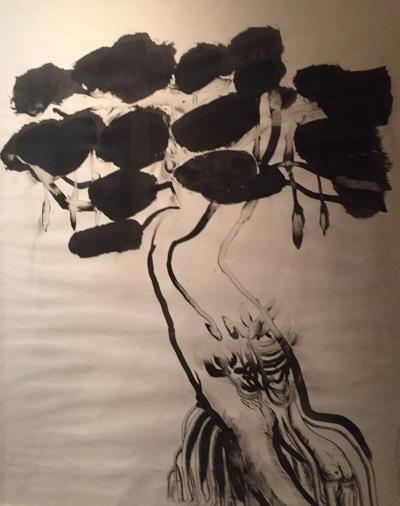 <p><em>Weird Tree in Bali</em></p>