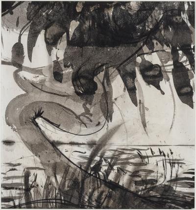 76.78 Fig Tree verso image.jpeg