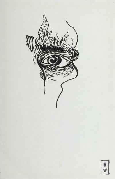 <p><em>Vincent van Gogh’s Eye</em></p>